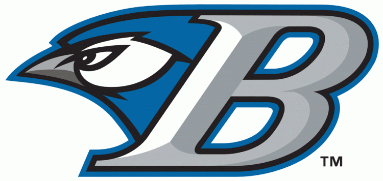 Bluefield Blue Jays 2011 Primary Logo iron on heat transfer